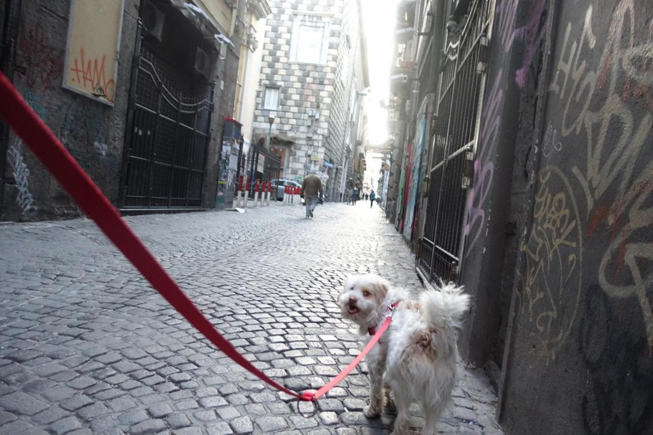 aKasa di Flock Bed & Breakfast Napoli Bagian luar foto